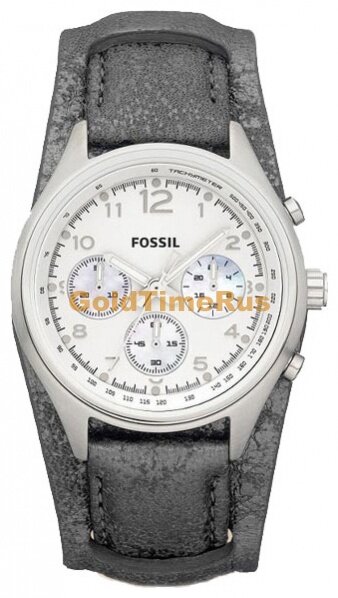 Наручные часы FOSSIL CH2796